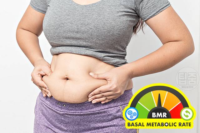 나잇살 찌는 이유 나이살 얼굴 뱃살 팔뚝살