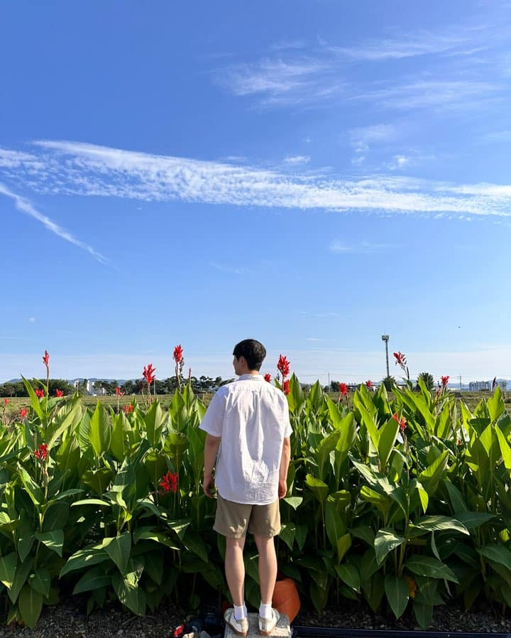 대부 잠수교 꽃