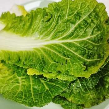 봄동 효능