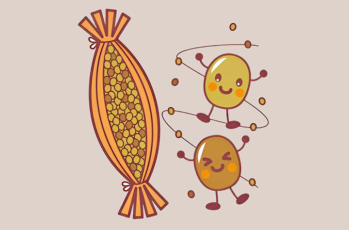 낫또-발효-모습