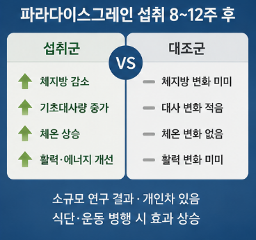 파라다이스그레인-효능-먹는법-추천-후기-가격