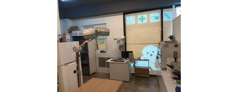 제주 서귀포시 동물병원