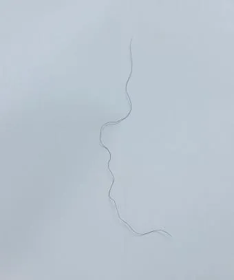 머리카락 굵게 만드는 방법 8가지와 두피관리 팁 안내_21