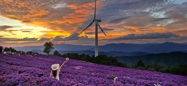 2026 감악산 꽃별여행 일정