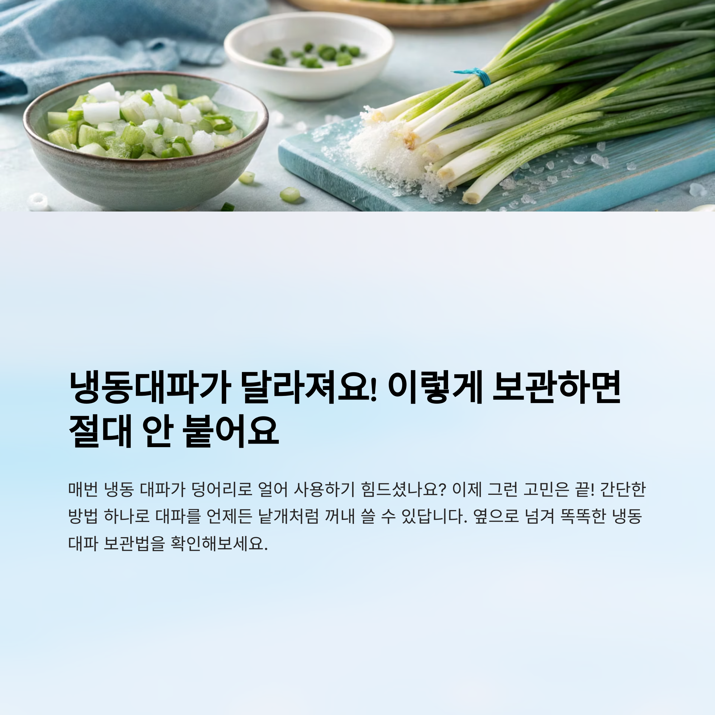 냉동대파 절대 안붙는 보관법, 한번 따라해보세요