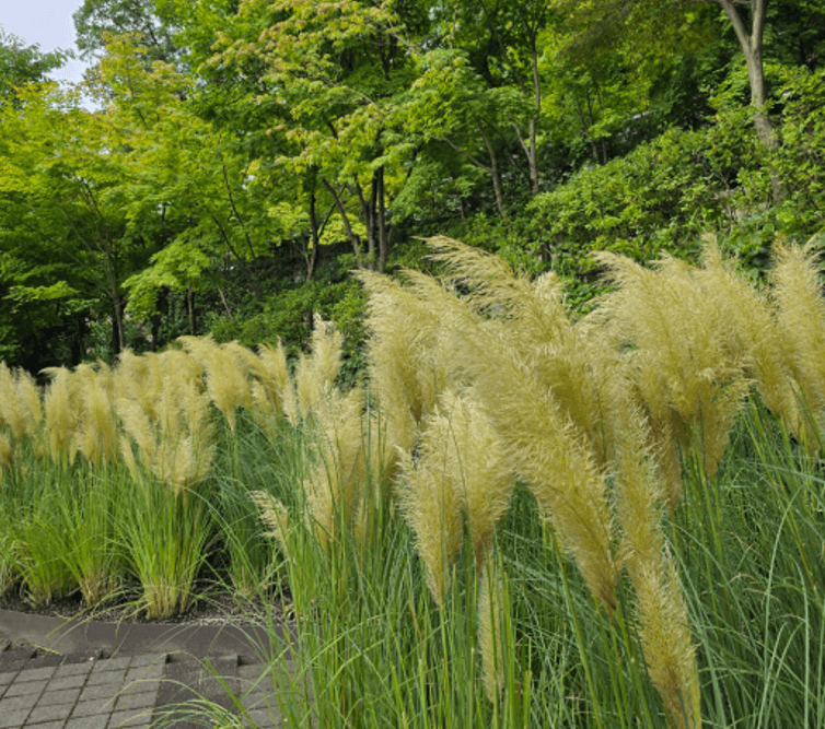 화담숲 예약 방법