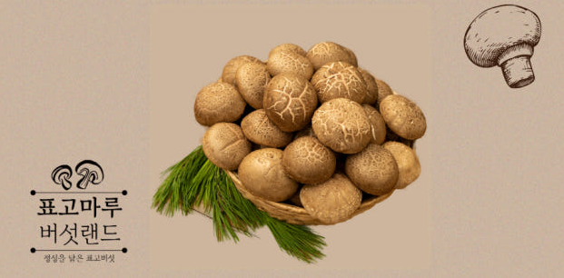 6시 내고향 표고버섯
