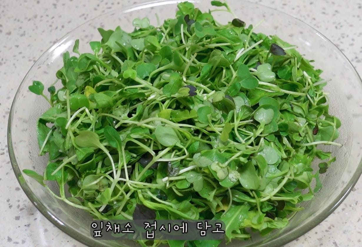 잎채소 접시에 담아요.