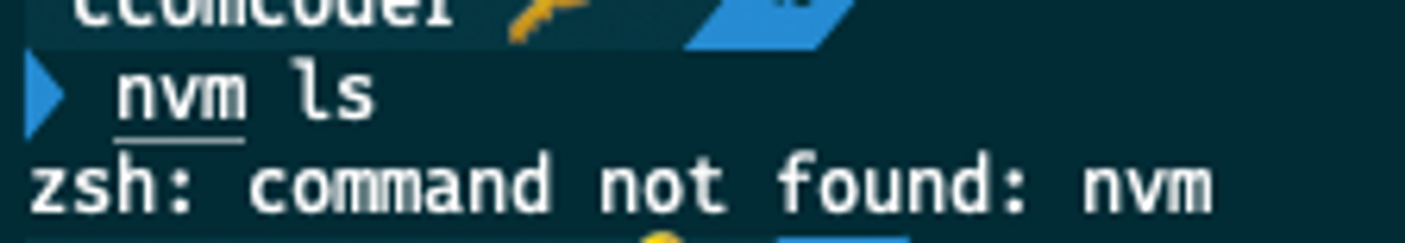 nvm ls 명령어 실행 결과 nvm이 설치되지 않은 화면