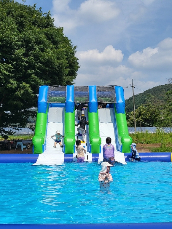 2025 양평메기수염축제 총정리