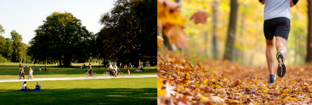 환절기에 면역력 강화를 위해 야외에서 산책하거나 조깅을 즐기는 사람들