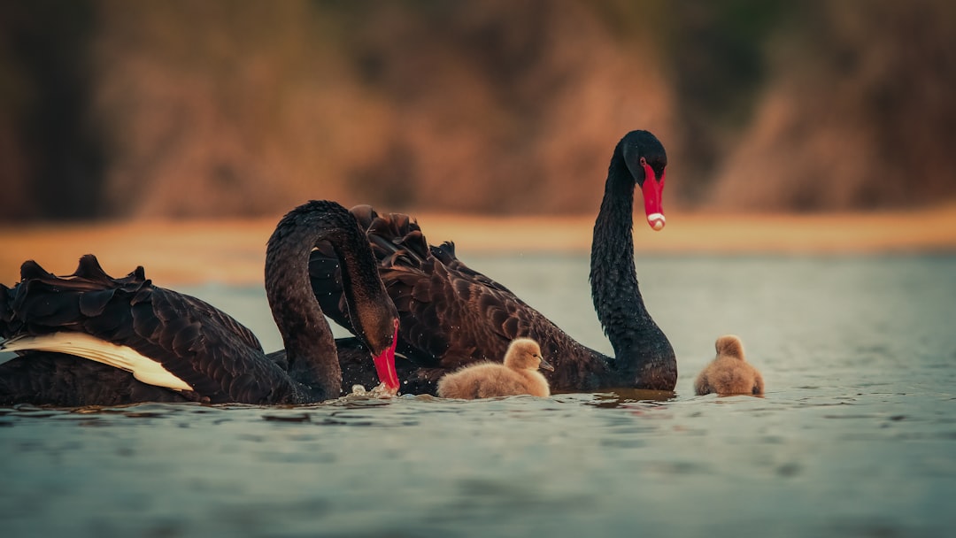 Family.