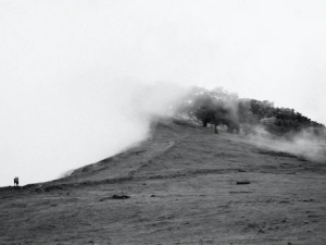 편도선이 붓는 이유