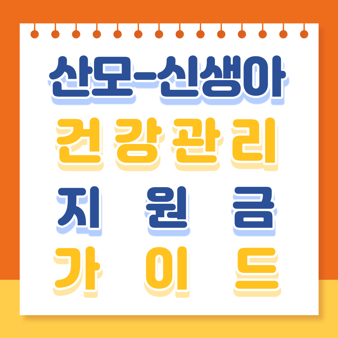 산모, 신생아 건강관리 (도우미) 지원금