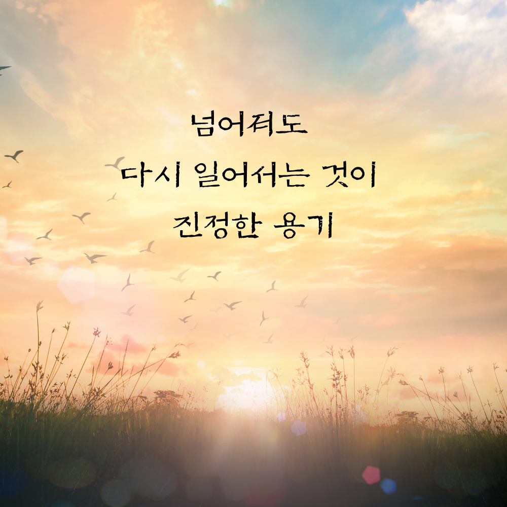힘이되는 캘리그라피 좋은 글귀 문구