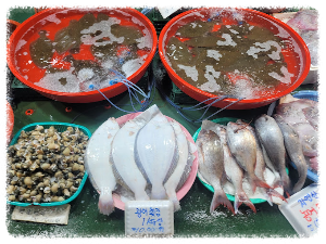 대명포구