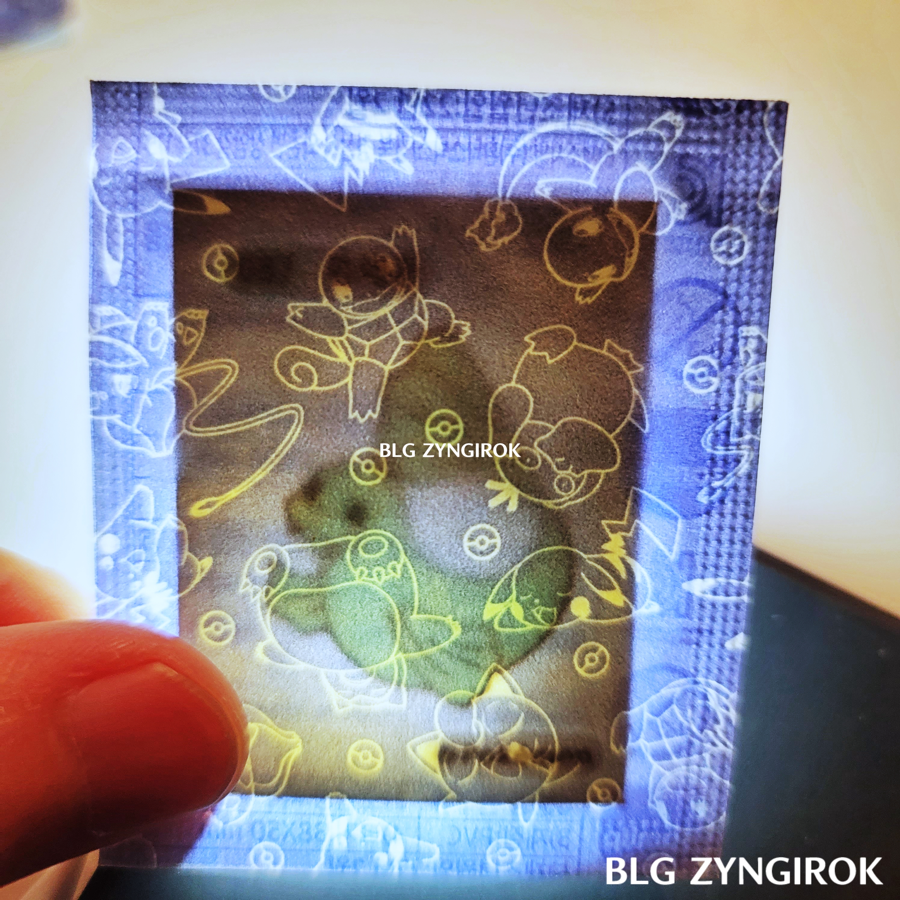 띠부띠부씰-쥬레곤을-들고있다.