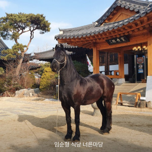 임순형 식당 너른마당