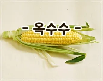 옥수수 효능과 옥수수 삶는 방법 전자렌지 초당옥수수 찰옥수수 차이 비교 자료_4