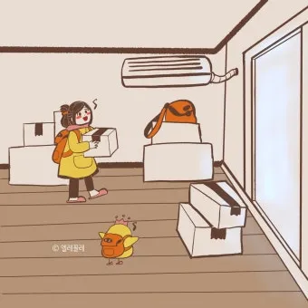 북서향 창문 식물 선택 저광량관리 물주기 식물등 세팅 가이드_9