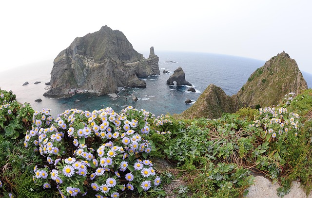 올여름 휴가, 울릉도-독도 연계 여행 완벽 가이드 🌊