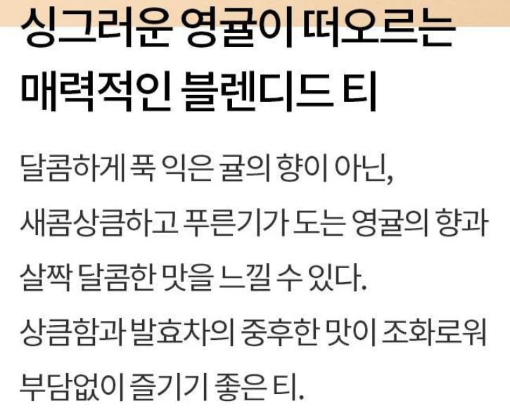 선물용 맛있는 티 모음