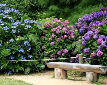 천리포수목원_5