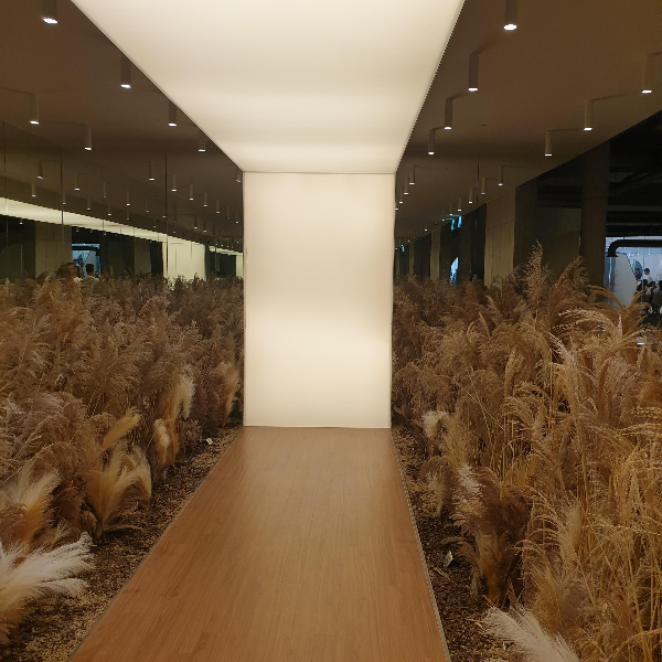 여수 카페 투어: 뷰카페 모이핀 오션(MOIFIN OCEAN) 소개_내부 2층 갈대