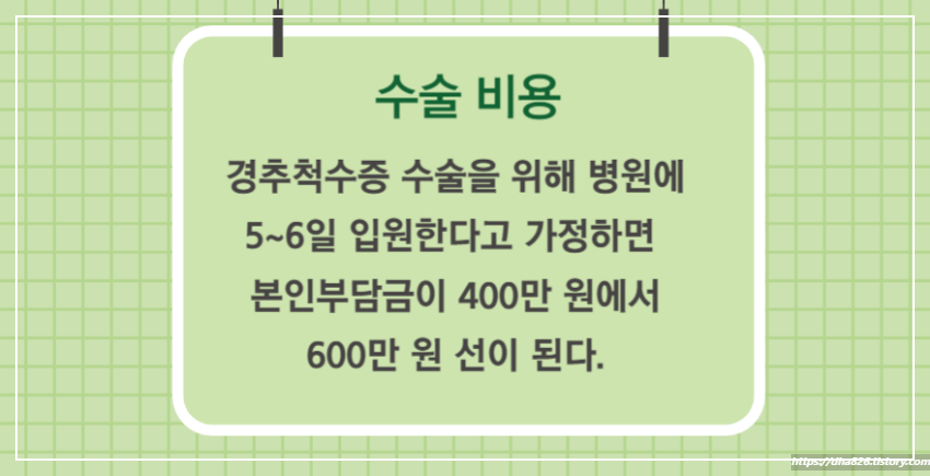 경추척수증 치료 비용