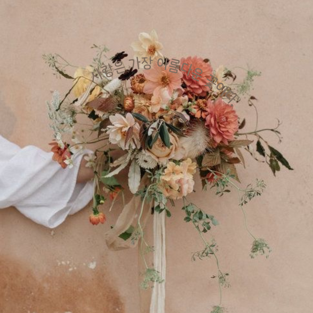 짧고 좋은 사랑 글귀 좋은글 문구 이미지 모음