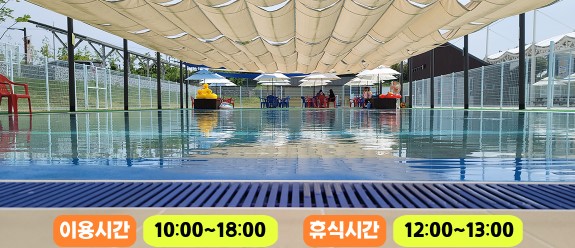 의성 펫월드 수영장