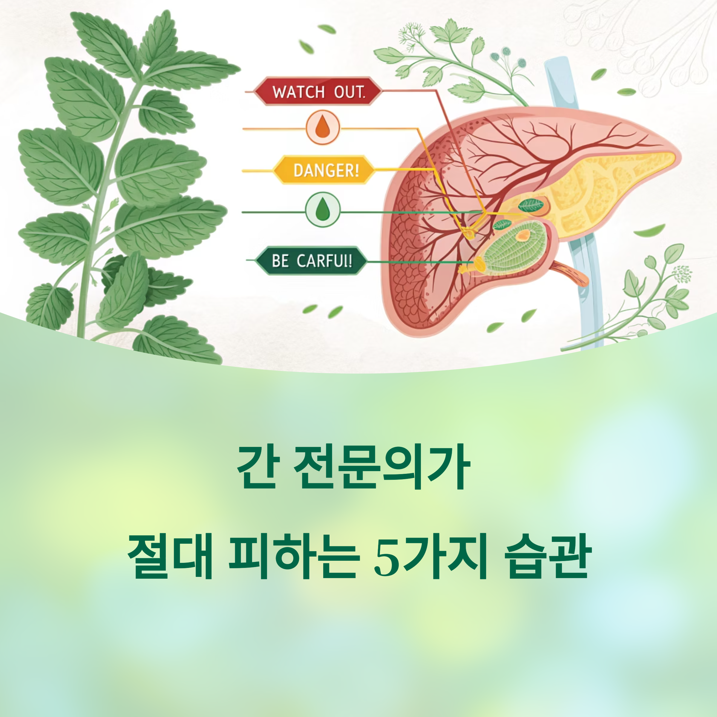 간 전문의가 절대 피하는 5가지 습관: 간 건강을 지키는 결정적 차이에 대한 이미지