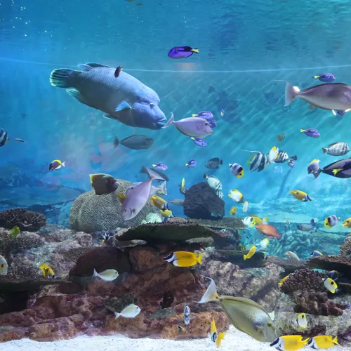 서울 비 오는 날 실내 데이트