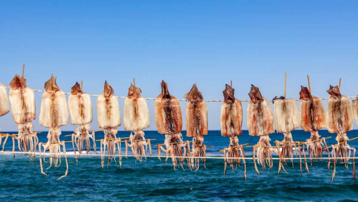 바닷바람에 마르고 있는 오징어 / AHNsd-shutterstock.com