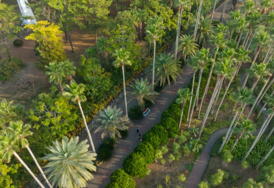 3월 부모님과 함께 하는 2박3일 제주도여행 추천 - 가볼만한곳, 코스, 일정, 맛집, 숙소, 경비(비용)