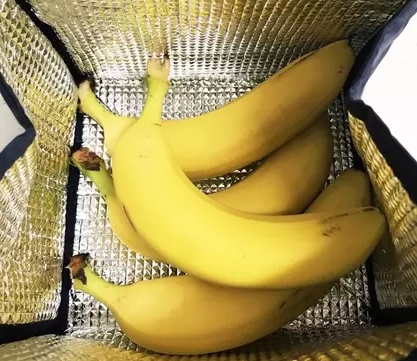 보냉가방에 바나나보관