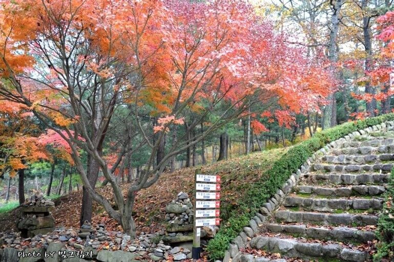 경북 상주 경천대