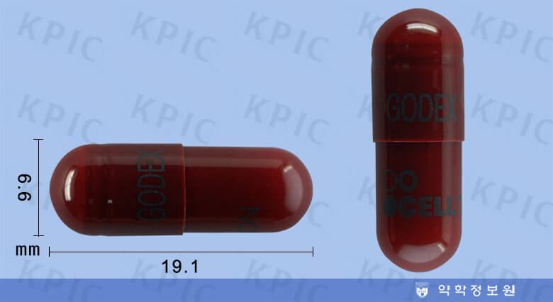 고덱스캡슐 효능 총정리! 간 피로, 지방간엔 효과 있을까?