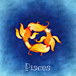 물고기 자리 그림