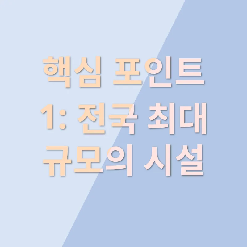 렉돌 고양이 분양_1