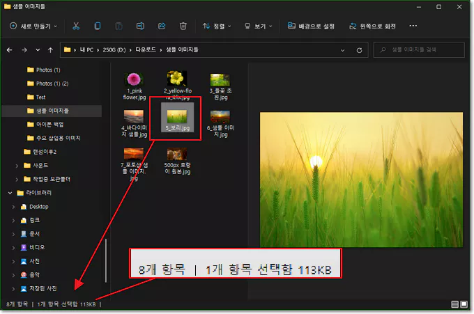 기본 설정 파일 탐색기의 상태 표시줄