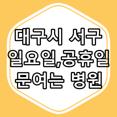 대구광역시 서구 일요일, 공휴일 진료 병원과 진료시간