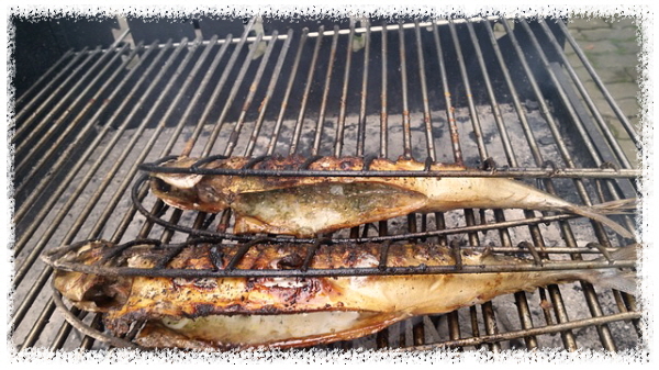 건강기능식품-고등어-오메가3