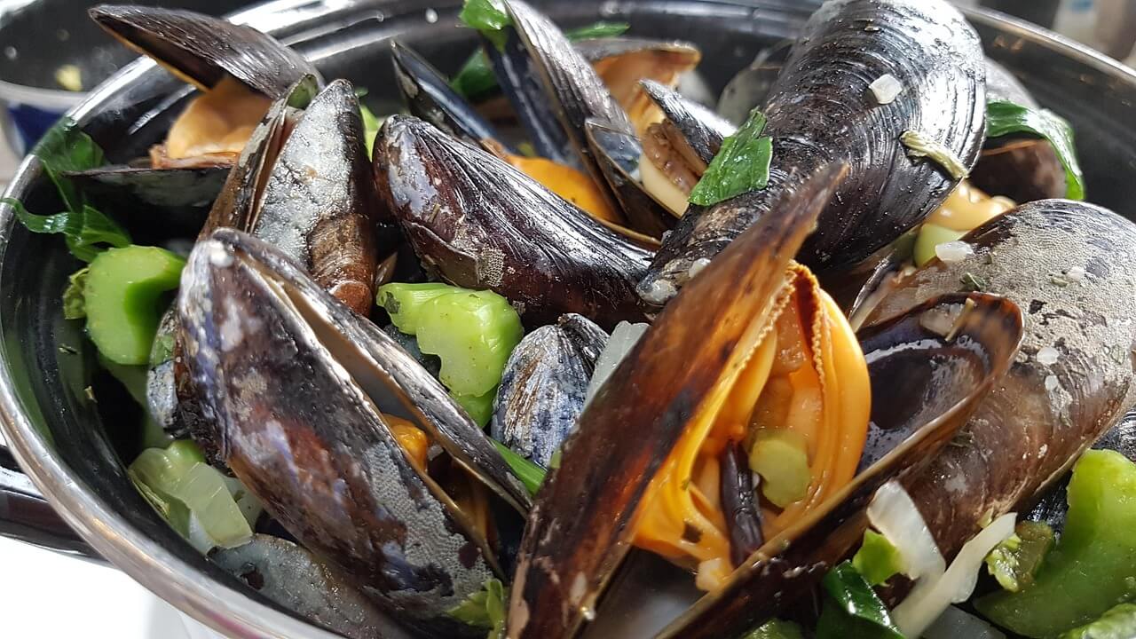 1월 제철 해산물 총정리