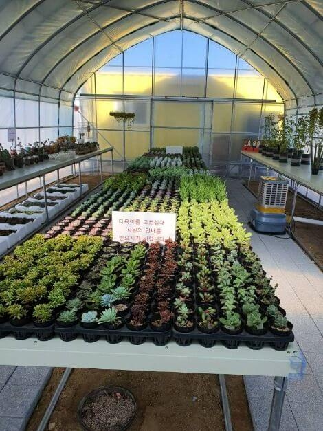 강릉 가볼만한곳 베스트 10