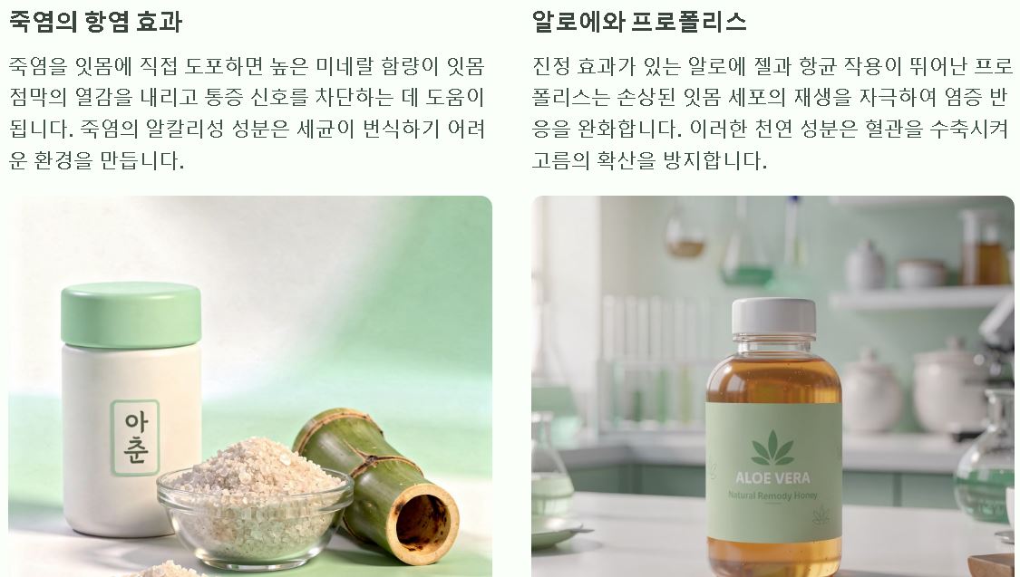 잇몸 염증 고름 치료 민간요법