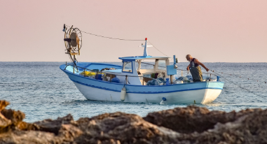 함정형 조류 이용한 안강망 조업