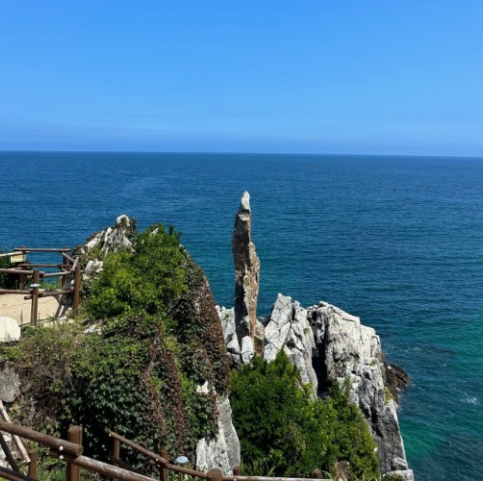 해외여행자-보험