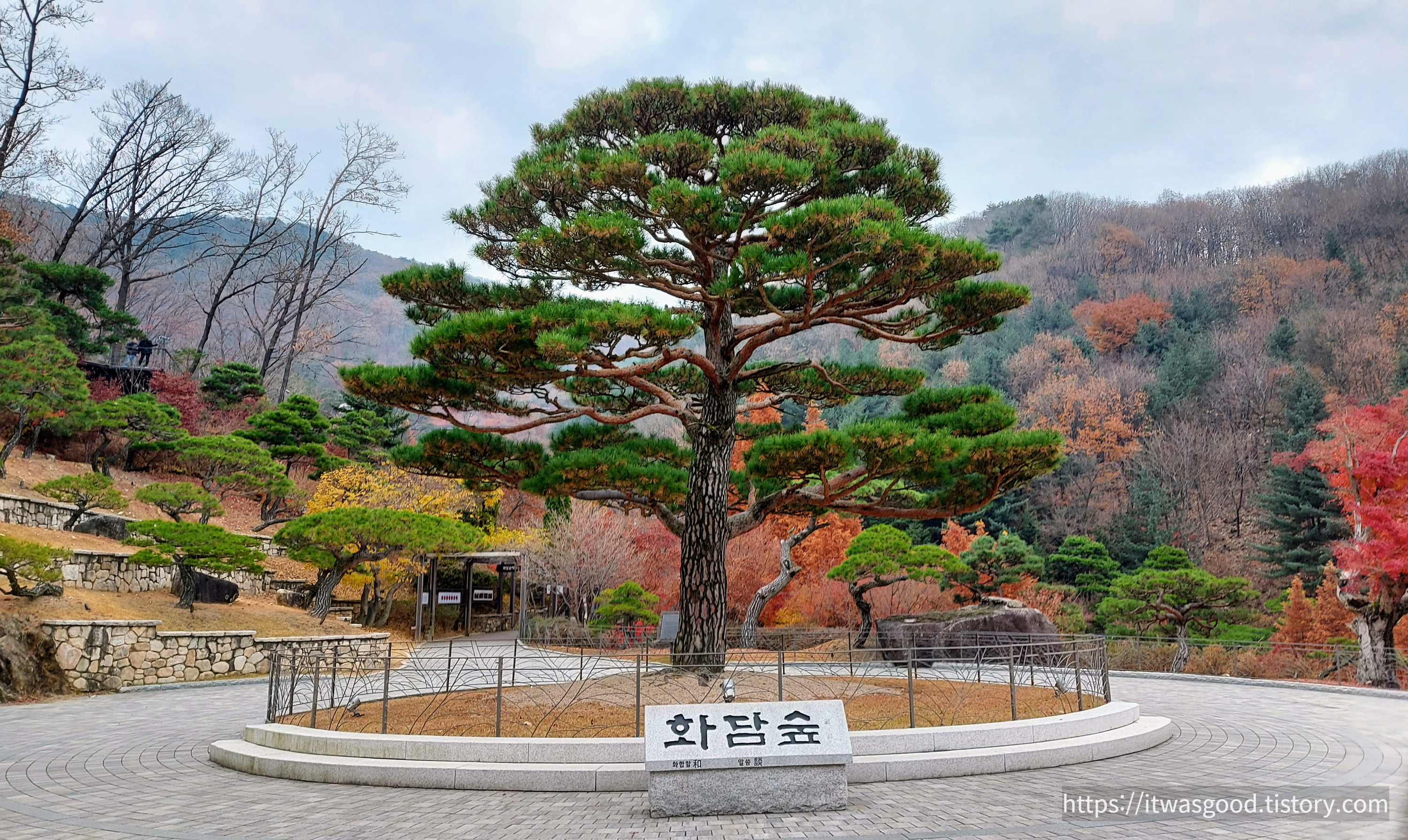 곤지암 화담숲 단풍