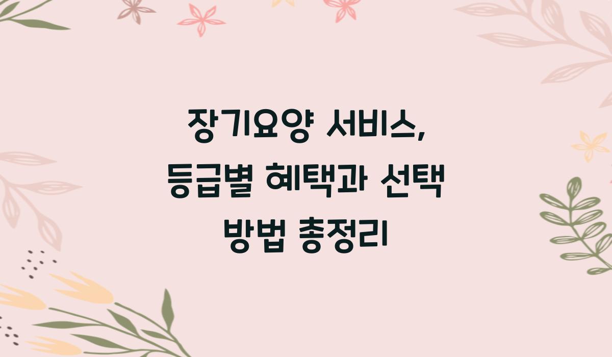 장기요양 서비스